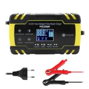 Pametni punjač akumulatora 8A